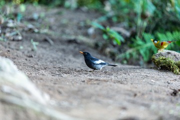 YSG_4495