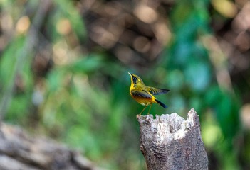 YSG_5816