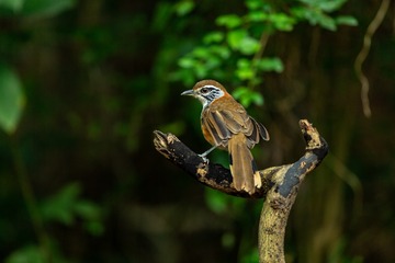 YSG_3343