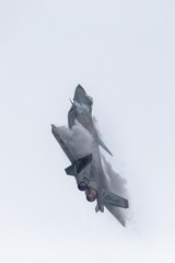 _SG_6740