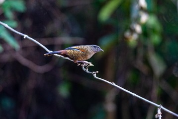 YSG_8166
