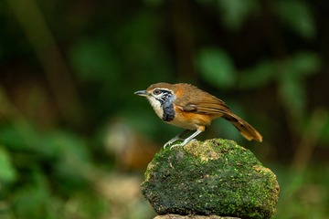 YSG_2980
