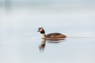 YSG_0672