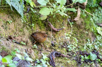 YSG_1478
