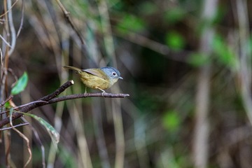 YSG_6304