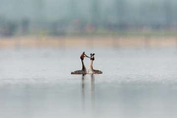 YSG_0789