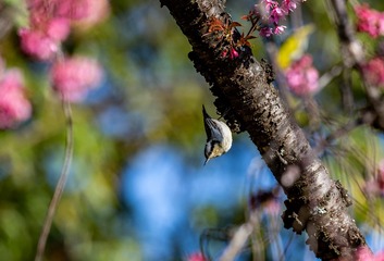 YSG_5991