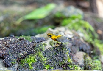 YSG_6870
