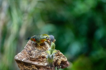YSG_5927