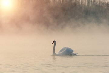 _SG_5593