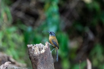 YSG_6542