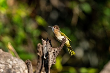 YSG_6421