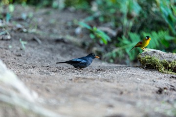 YSG_4481