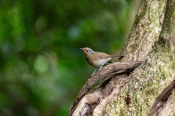 YSG_8916