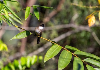 YSG_6769