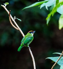 YSG_9688