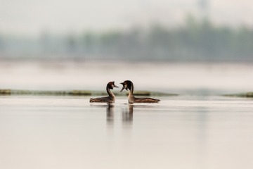 YSG_0984