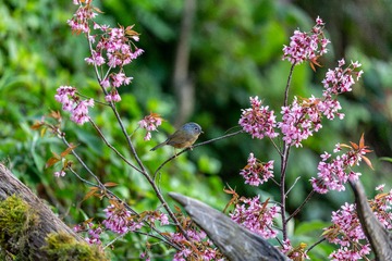 YSG_9798