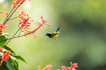 _SG_9190