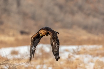 _SG_6891