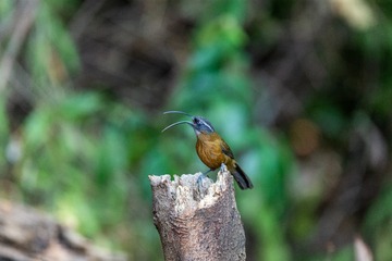 YSG_5589