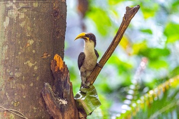 YSG_5859