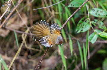 YSG_6176