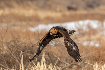 _SG_6895
