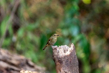 YSG_5684