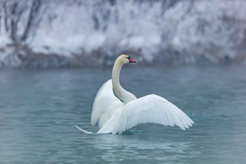 _SG_5854