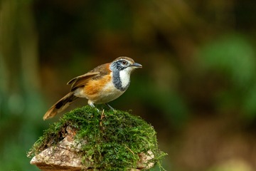 YSG_3189