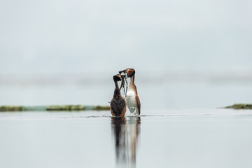 YSG_0586