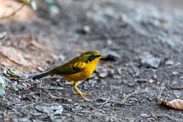 YSG_6792
