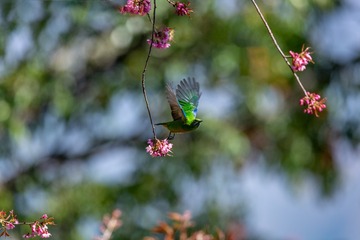 YSG_6635