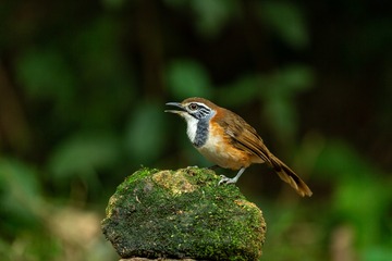 YSG_2910