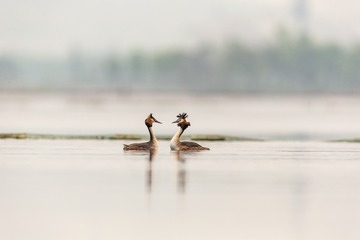 YSG_1054
