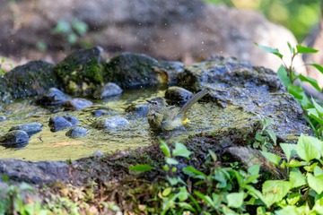 YSG_7022