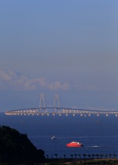 _SG_9687