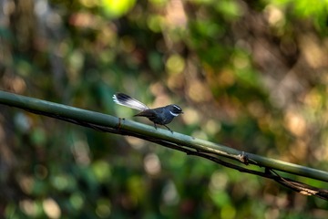 YSG_8448