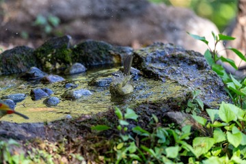 YSG_7009