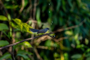 YSG_8399