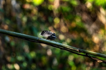 YSG_8444