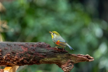 YSG_4758