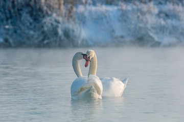 _SG_5622