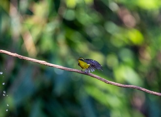 YSG_8283