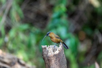 YSG_5601
