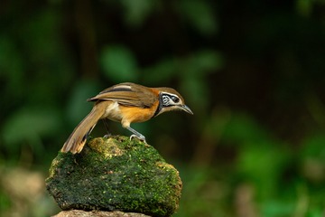 YSG_2782