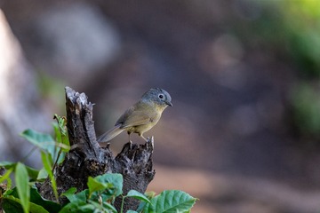 YSG_6742