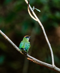 YSG_9565