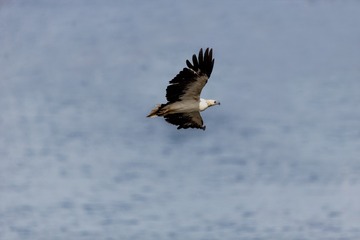YSG_0432